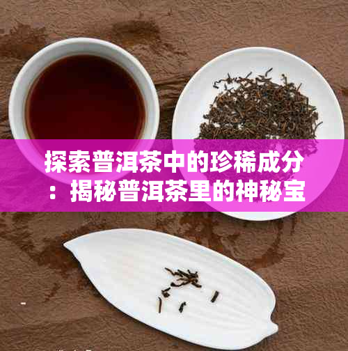 探索普洱茶中的珍稀成分：揭秘普洱茶里的神秘宝