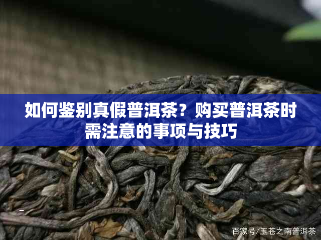 如何鉴别真假普洱茶？购买普洱茶时需注意的事项与技巧