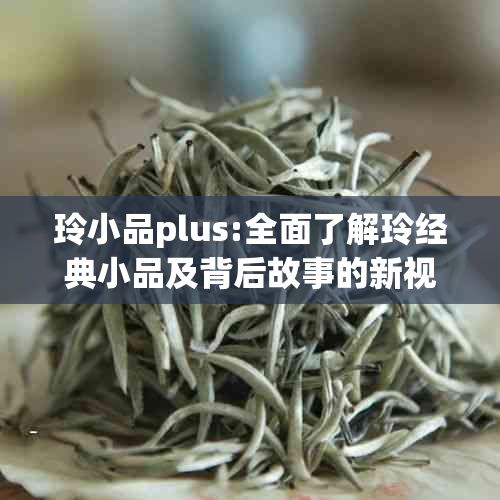 玲小品plus:全面了解玲经典小品及背后故事的新视角