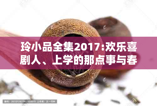 玲小品全集2017:欢乐喜剧人、上学的那点事与春晚，2021新作也精彩