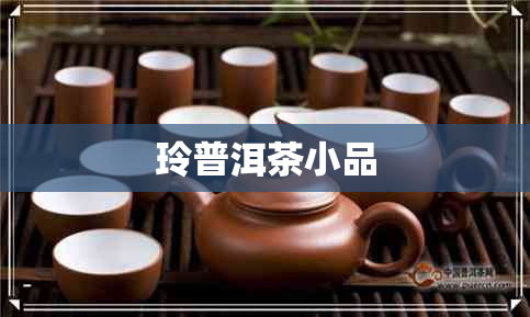 玲普洱茶小品