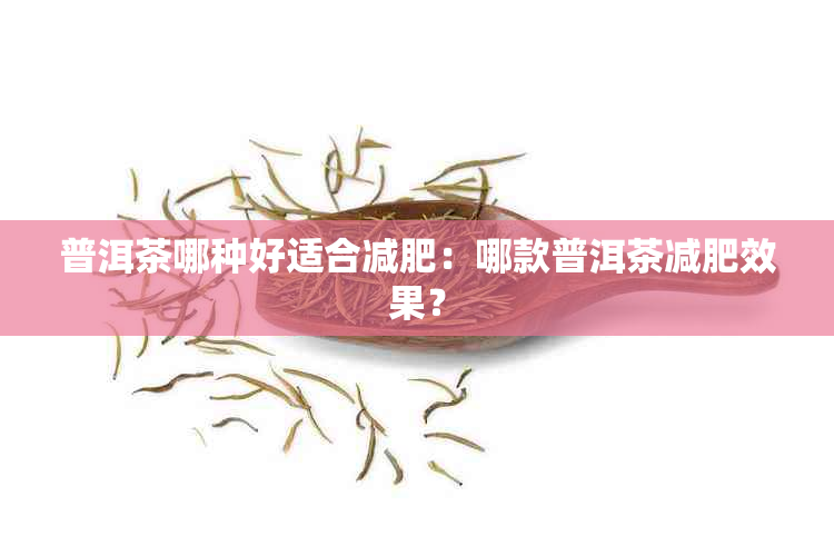 普洱茶哪种好适合减肥：哪款普洱茶减肥效果？