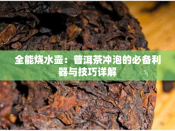 全能烧水壶：普洱茶冲泡的必备利器与技巧详解