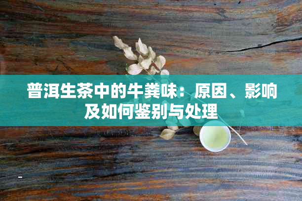 普洱生茶中的牛粪味：原因、影响及如何鉴别与处理