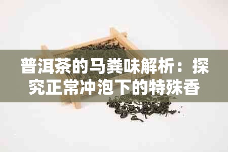 普洱茶的马粪味解析：探究正常冲泡下的特殊香味