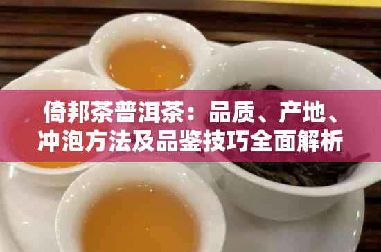 倚邦茶普洱茶：品质、产地、冲泡方法及品鉴技巧全面解析