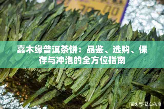 嘉木缘普洱茶饼：品鉴、选购、保存与冲泡的全方位指南