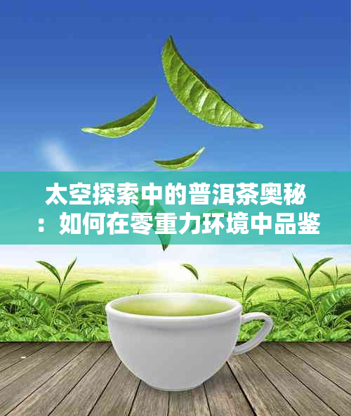 太空探索中的普洱茶奥秘：如何在零重力环境中品鉴和保存茶叶？