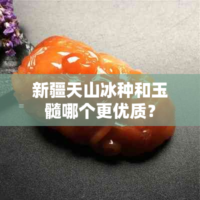 新疆天山冰种和玉髓哪个更优质？