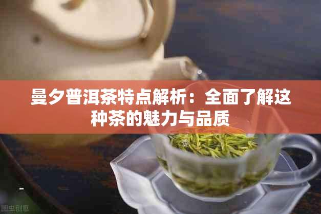 曼夕普洱茶特点解析：全面了解这种茶的魅力与品质