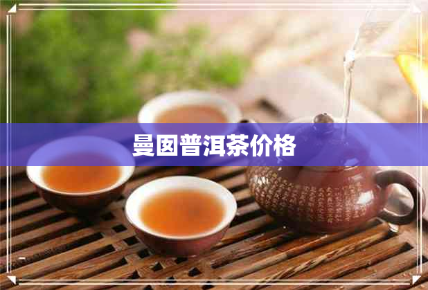 曼囡普洱茶价格