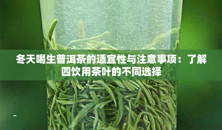 冬天喝生普洱茶的适宜性与注意事项：了解四饮用茶叶的不同选择