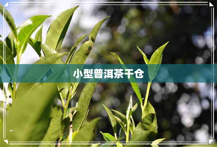 小型普洱茶干仓