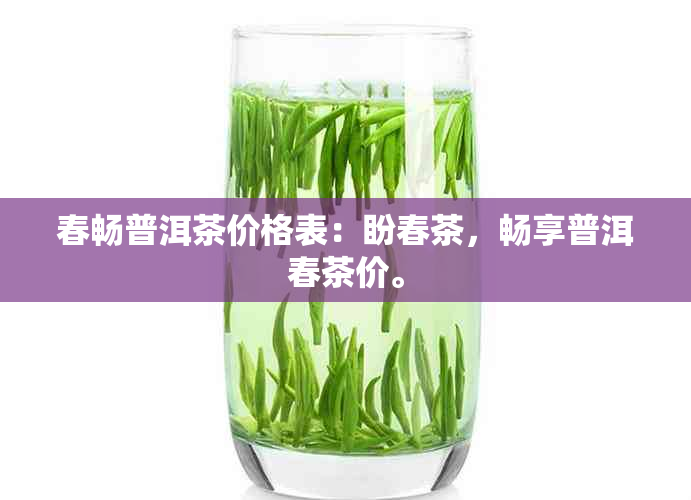 春畅普洱茶价格表：盼春茶，畅享普洱春茶价。