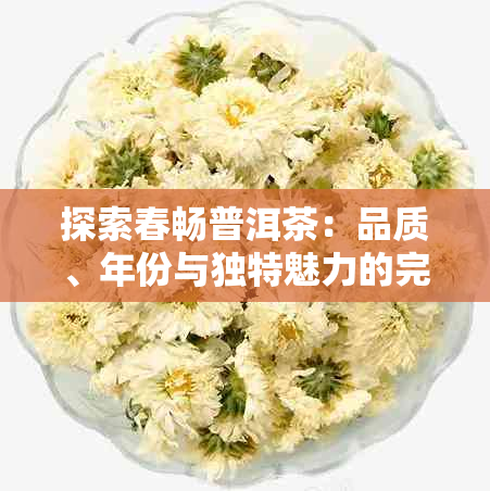 探索春畅普洱茶：品质、年份与独特魅力的完美融合