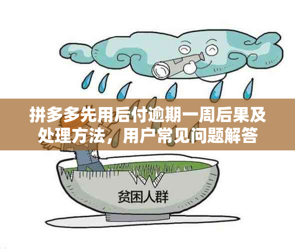 拼多多先用后付逾期一周后果及处理方法，用户常见问题解答