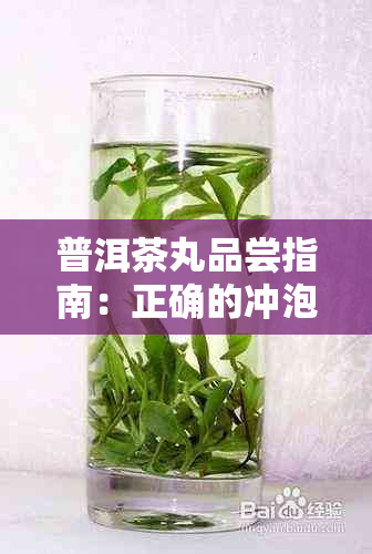 普洱茶丸品尝指南：正确的冲泡方法与饮用技巧，让你全面了解普洱茶丸的魅力