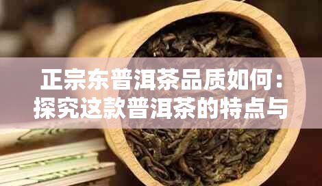 正宗东普洱茶品质如何：探究这款普洱茶的特点与口感