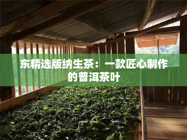 东精选版纳生茶：一款匠心制作的普洱茶叶