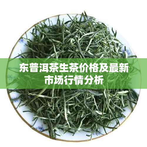 东普洱茶生茶价格及最新市场行情分析