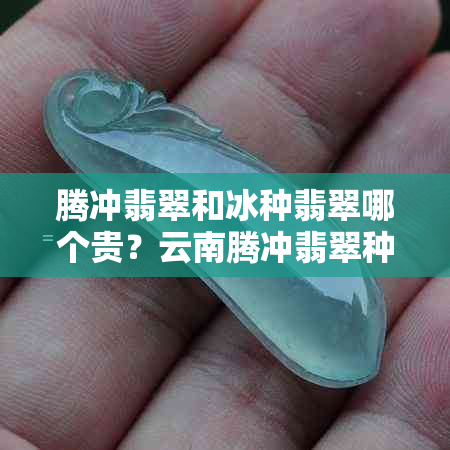 腾冲翡翠和冰种翡翠哪个贵？云南腾冲翡翠种类与品质解析