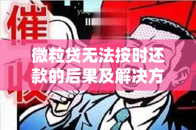 微粒贷无法按时还款的后果及解决方法，让您轻松掌控债务状况