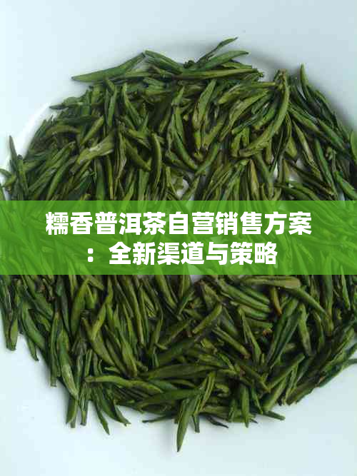 糯香普洱茶自营销售方案：全新渠道与策略