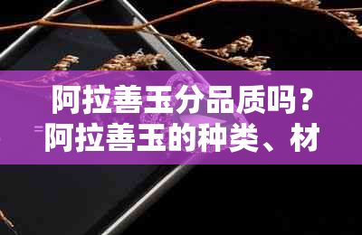 阿拉善玉分品质吗？阿拉善玉的种类、材质与产地解析。