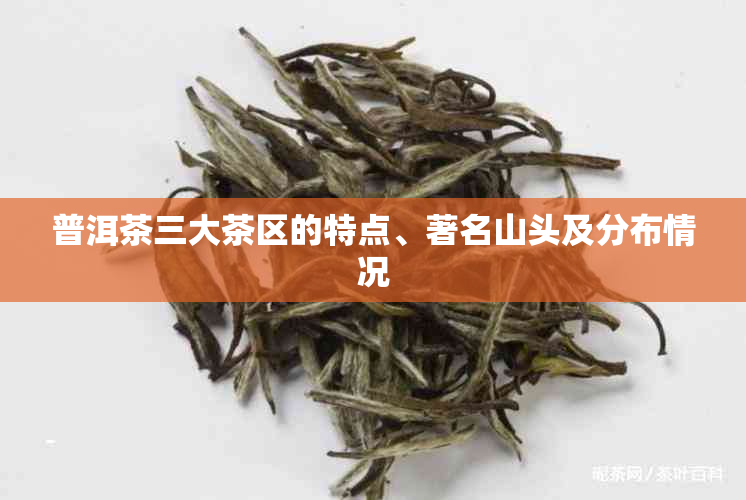 普洱茶三大茶区的特点、著名山头及分布情况