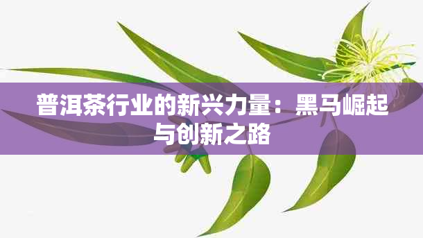 普洱茶行业的新兴力量：黑马崛起与创新之路