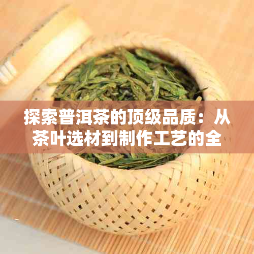 探索普洱茶的顶级品质：从茶叶选材到制作工艺的全面解析