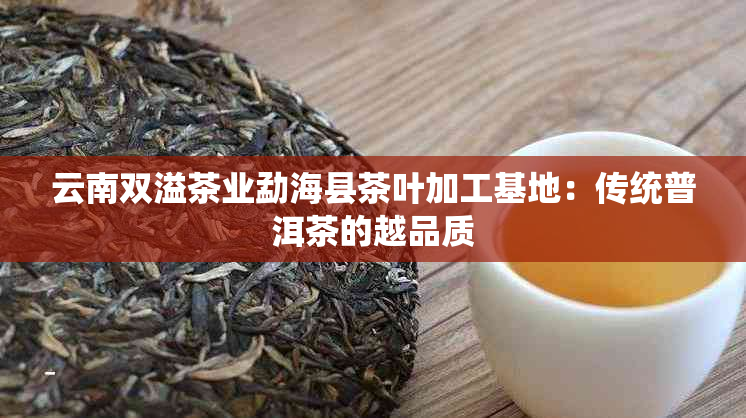 云南双溢茶业勐海县茶叶加工基地：传统普洱茶的越品质