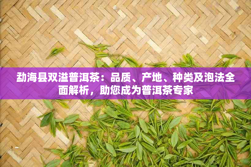 勐海县双溢普洱茶：品质、产地、种类及泡法全面解析，助您成为普洱茶专家