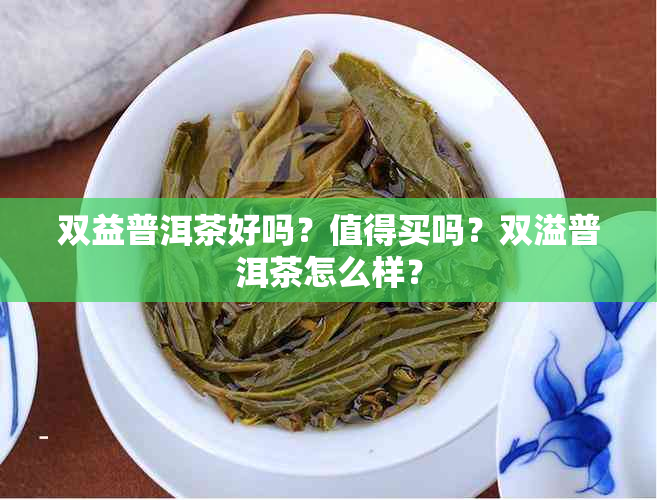 双益普洱茶好吗？值得买吗？双溢普洱茶怎么样？