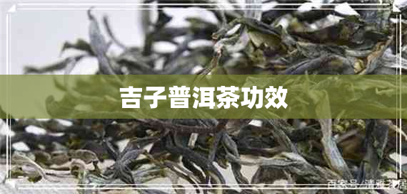 吉子普洱茶功效