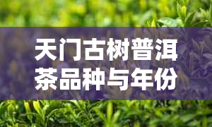 天门古树普洱茶品种与年份价格对照表