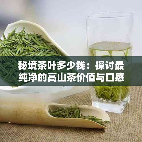 秘境茶叶多少钱：探讨最纯净的高山茶价值与口感