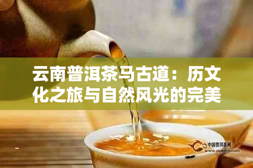 云南普洱茶马古道：历文化之旅与自然风光的完美融合