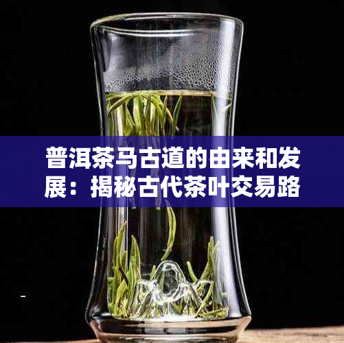 普洱茶马古道的由来和发展：揭秘古代茶叶交易路线的历与传说