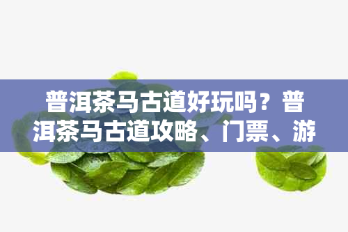 普洱茶马古道好玩吗？普洱茶马古道攻略、门票、游记及旅游攻略详解