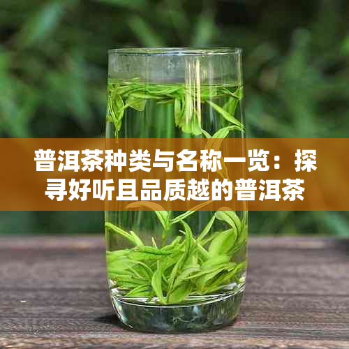 普洱茶种类与名称一览：探寻好听且品质越的普洱茶名字