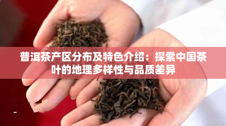 普洱茶产区分布及特色介绍：探索中国茶叶的地理多样性与品质差异