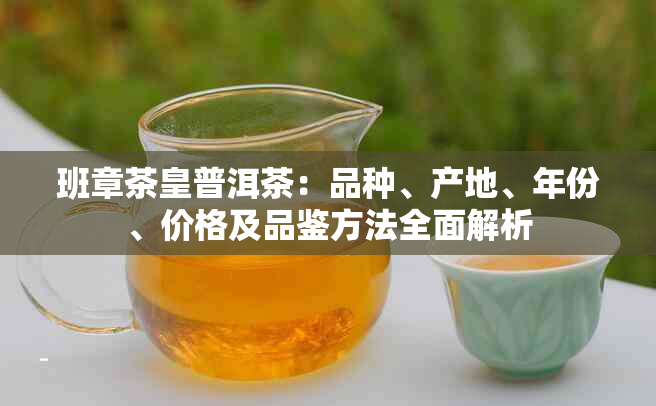 班章茶皇普洱茶：品种、产地、年份、价格及品鉴方法全面解析