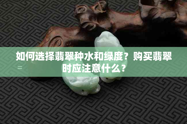 如何选择翡翠种水和绿度？购买翡翠时应注意什么？