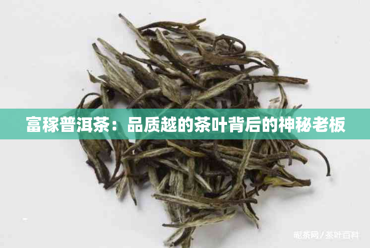 富稼普洱茶：品质越的茶叶背后的神秘老板