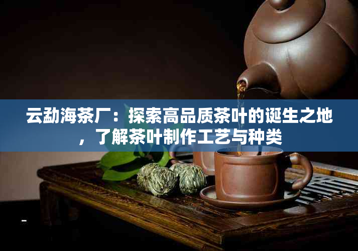 云勐海茶厂：探索高品质茶叶的诞生之地，了解茶叶制作工艺与种类