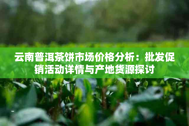 云南普洱茶饼市场价格分析：批发促销活动详情与产地货源探讨