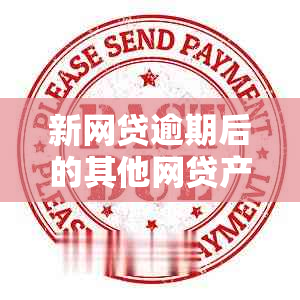 新网贷逾期后的其他网贷产品可能受到的影响及其应对策略