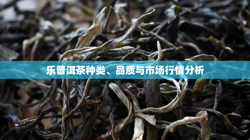 乐普洱茶种类、品质与市场行情分析