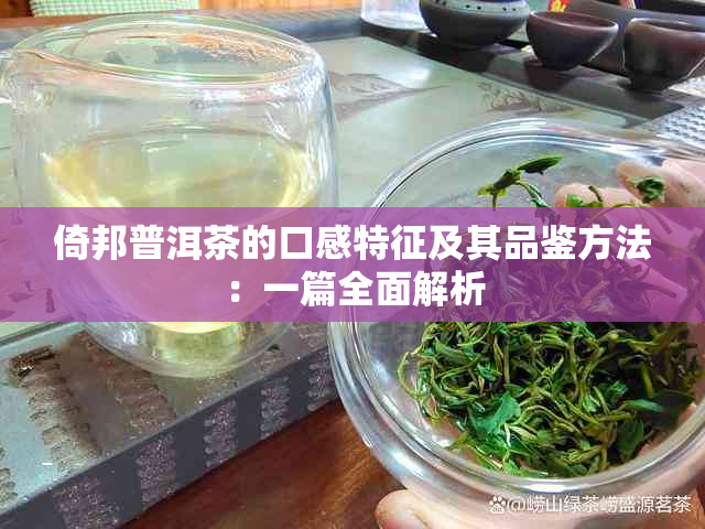 倚邦普洱茶的口感特征及其品鉴方法：一篇全面解析